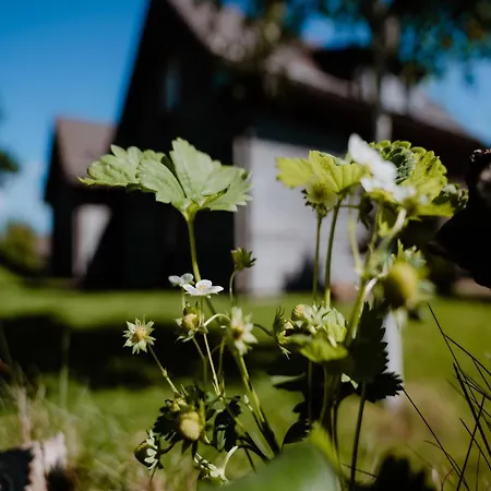 Doppelhaushaelften, Dom wakacyjny