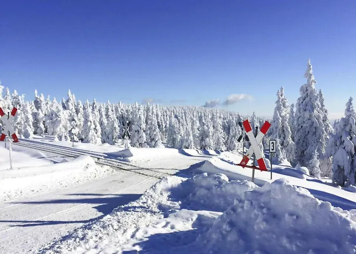 Doppelhaushaelften, 度假居