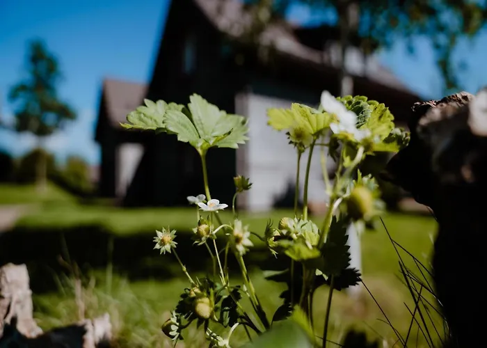 Doppelhaushaelften, 度假居